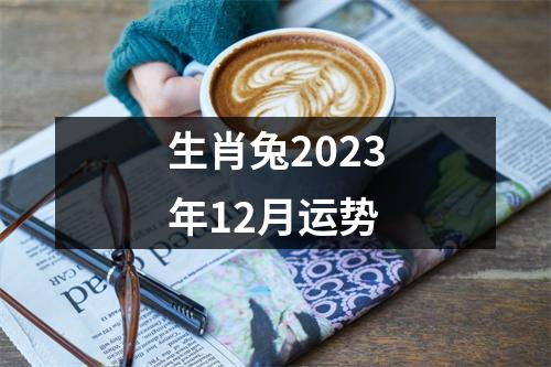 生肖兔2023年12月运势