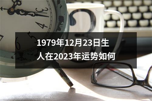 1979年12月23日生人在2023年运势如何