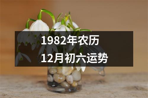 1982年农历12月初六运势