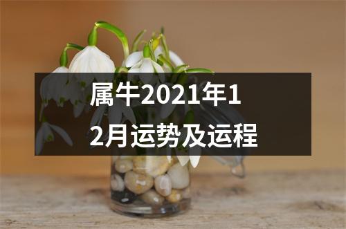 属牛2021年12月运势及运程