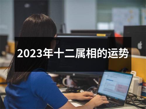 2023年十二属相的运势