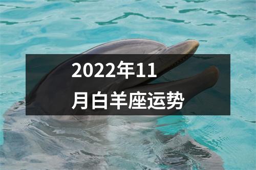 2022年11月白羊座运势