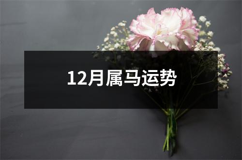 12月属马运势