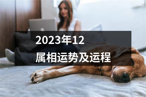 2023年12属相运势及运程