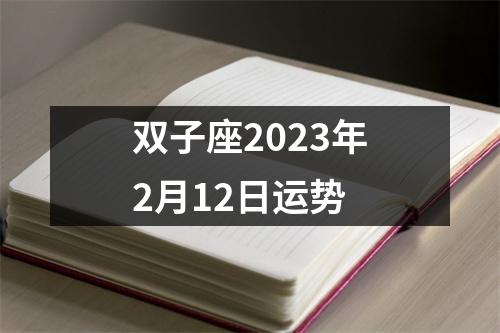 双子座2023年2月12日运势