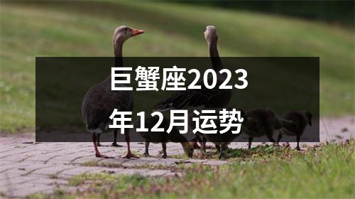 巨蟹座2023年12月运势