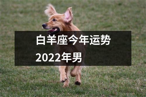 白羊座今年运势2022年男