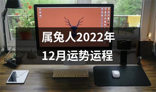 属兔人2022年12月运势运程