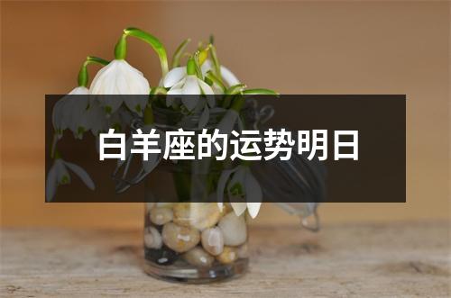 白羊座的运势明日