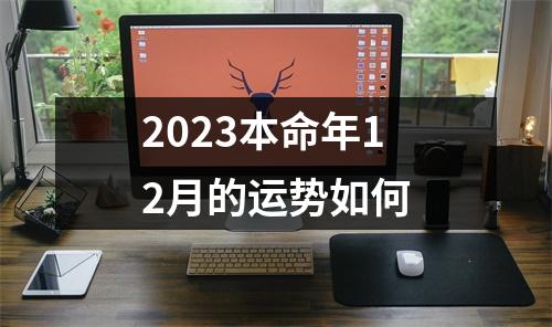 2023本命年12月的运势如何