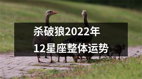 杀破狼2022年12星座整体运势