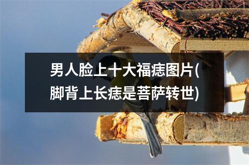 男人脸上十大福痣图片(脚背上长痣是菩萨转世)