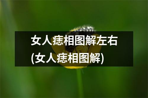 女人痣相图解左右(女人痣相图解)