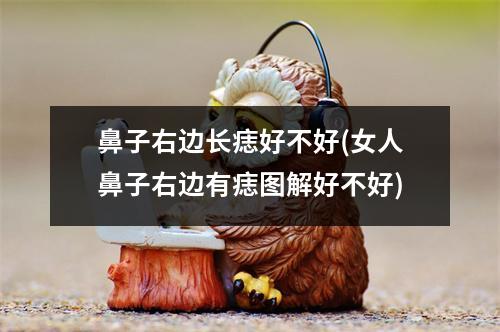 鼻子右边长痣好不好(女人鼻子右边有痣图解好不好)