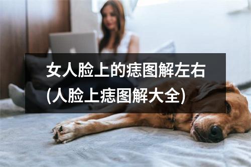 女人脸上的痣图解左右(人脸上痣图解大全)