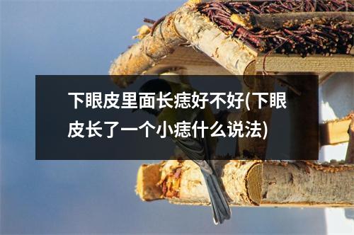 下眼皮里面长痣好不好(下眼皮长了一个小痣什么说法)