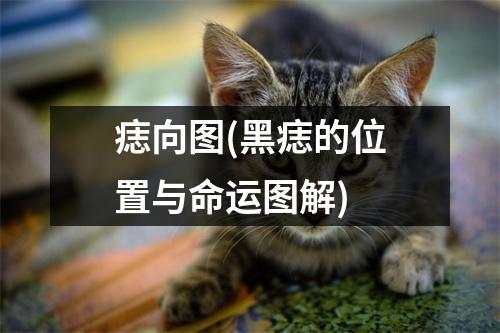 痣向图(黑痣的位置与命运图解)