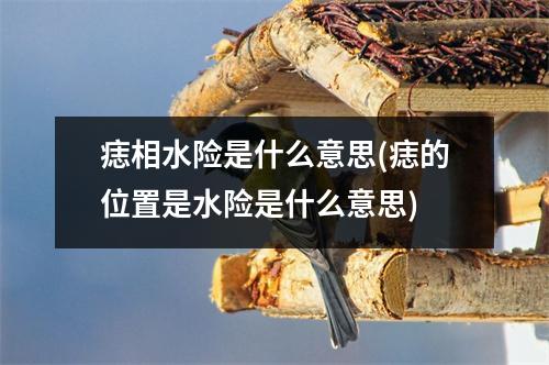 痣相水险是什么意思(痣的位置是水险是什么意思)