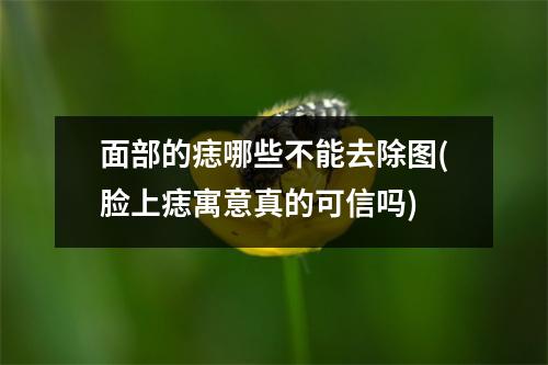 面部的痣哪些不能去除图(脸上痣寓意真的可信吗)