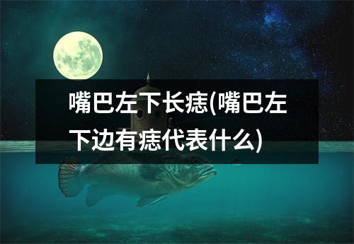 嘴巴左下长痣(嘴巴左下边有痣代表什么)