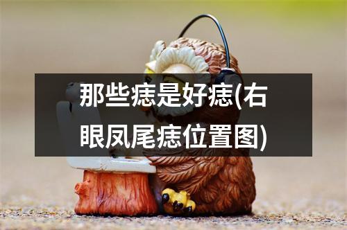 那些痣是好痣(右眼凤尾痣位置图)