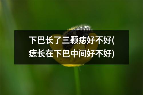 下巴长了三颗痣好不好(痣长在下巴中间好不好)