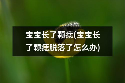 宝宝长了颗痣(宝宝长了颗痣脱落了怎么办)