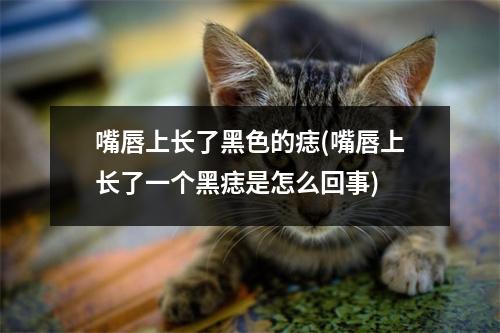 嘴唇上长了黑色的痣(嘴唇上长了一个黑痣是怎么回事)