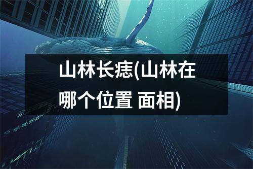 山林长痣(山林在哪个位置 面相)