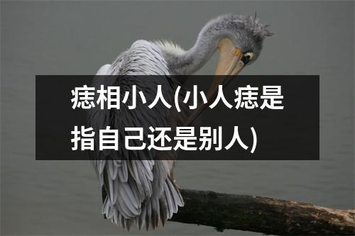 痣相小人(小人痣是指自己还是别人)