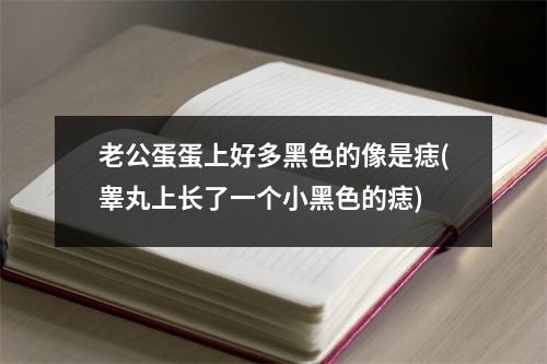 老公蛋蛋上好多黑色的像是痣(睾丸上长了一个小黑色的痣)