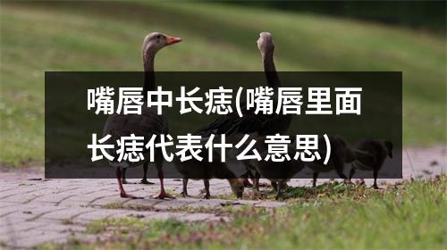 嘴唇中长痣(嘴唇里面长痣代表什么意思)