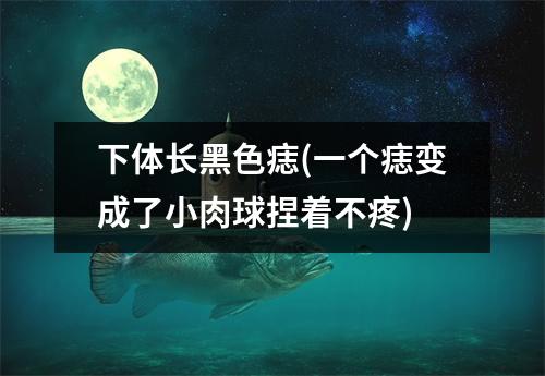 下体长黑色痣(一个痣变成了小肉球捏着不疼)