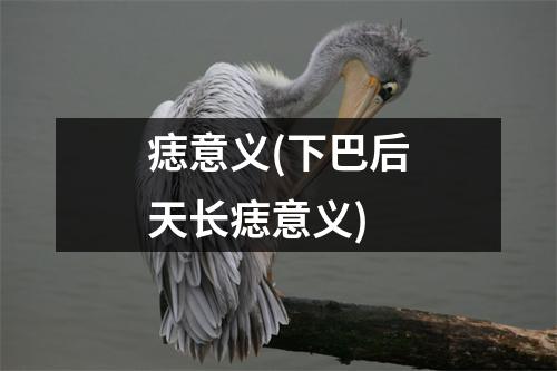 痣意义(下巴后天长痣意义)