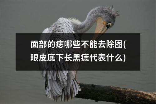 面部的痣哪些不能去除图(眼皮底下长黑痣代表什么)