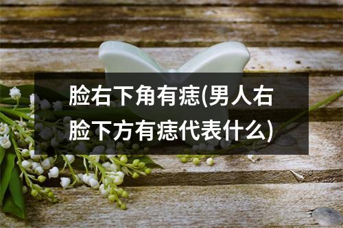 脸右下角有痣(男人右脸下方有痣代表什么)