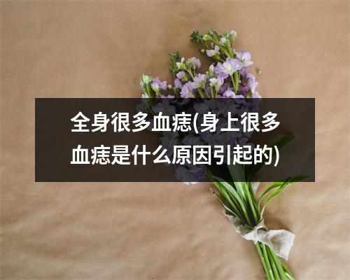 全身很多血痣(身上很多血痣是什么原因引起的)