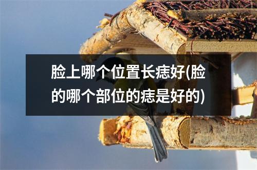 脸上哪个位置长痣好(脸的哪个部位的痣是好的)