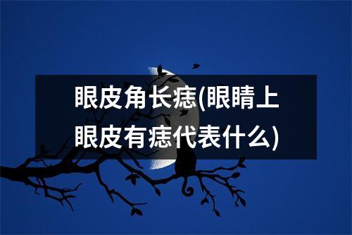 眼皮角长痣(眼睛上眼皮有痣代表什么)