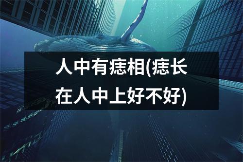 人中有痣相(痣长在人中上好不好)