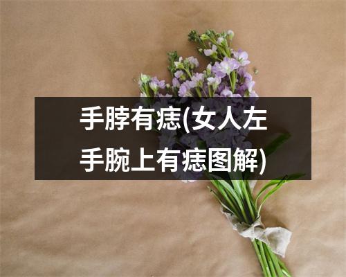 手脖有痣(女人左手腕上有痣图解)