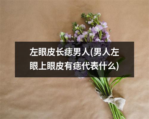 左眼皮长痣男人(男人左眼上眼皮有痣代表什么)