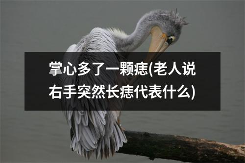 掌心多了一颗痣(老人说右手突然长痣代表什么)