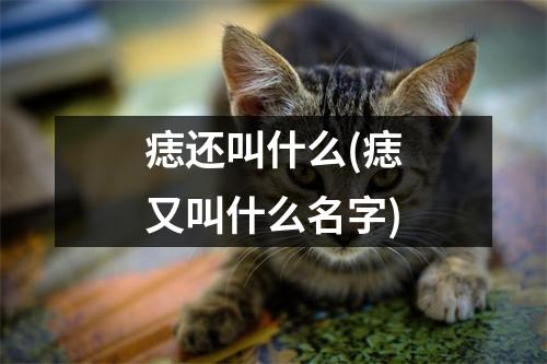 痣还叫什么(痣又叫什么名字)