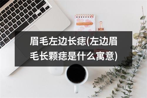 眉毛左边长痣(左边眉毛长颗痣是什么寓意)