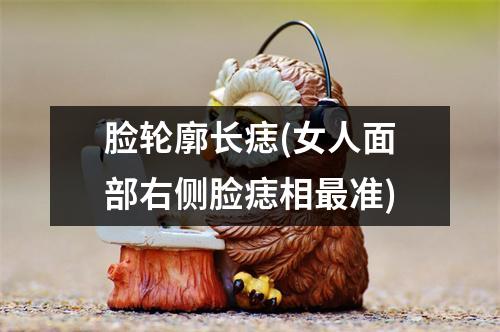 脸轮廓长痣(女人面部右侧脸痣相准)