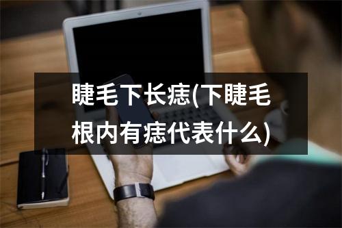 睫毛下长痣(下睫毛根内有痣代表什么)