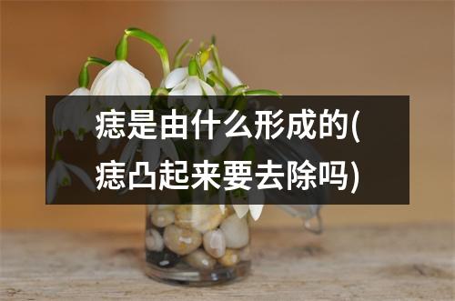 痣是由什么形成的(痣凸起来要去除吗)