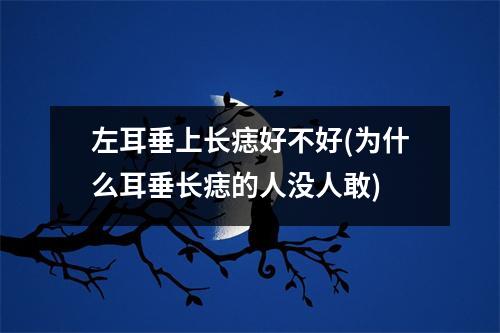 左耳垂上长痣好不好(为什么耳垂长痣的人没人敢)