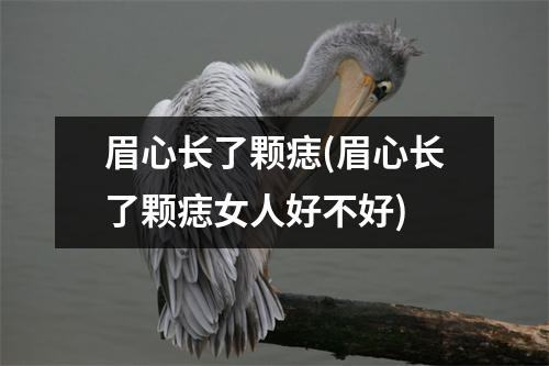 眉心长了颗痣(眉心长了颗痣女人好不好)